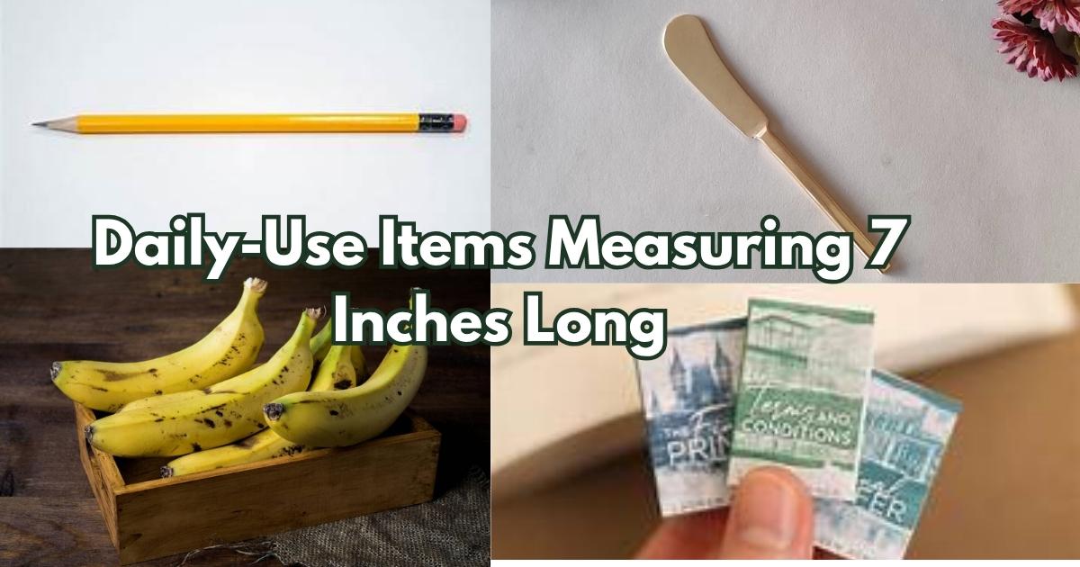 Daily-Use Items Measuring 7 Inches Long Feature Image