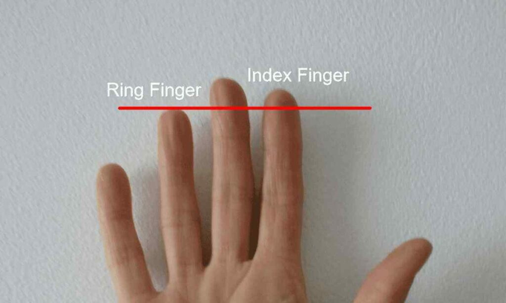 Index Finger Length