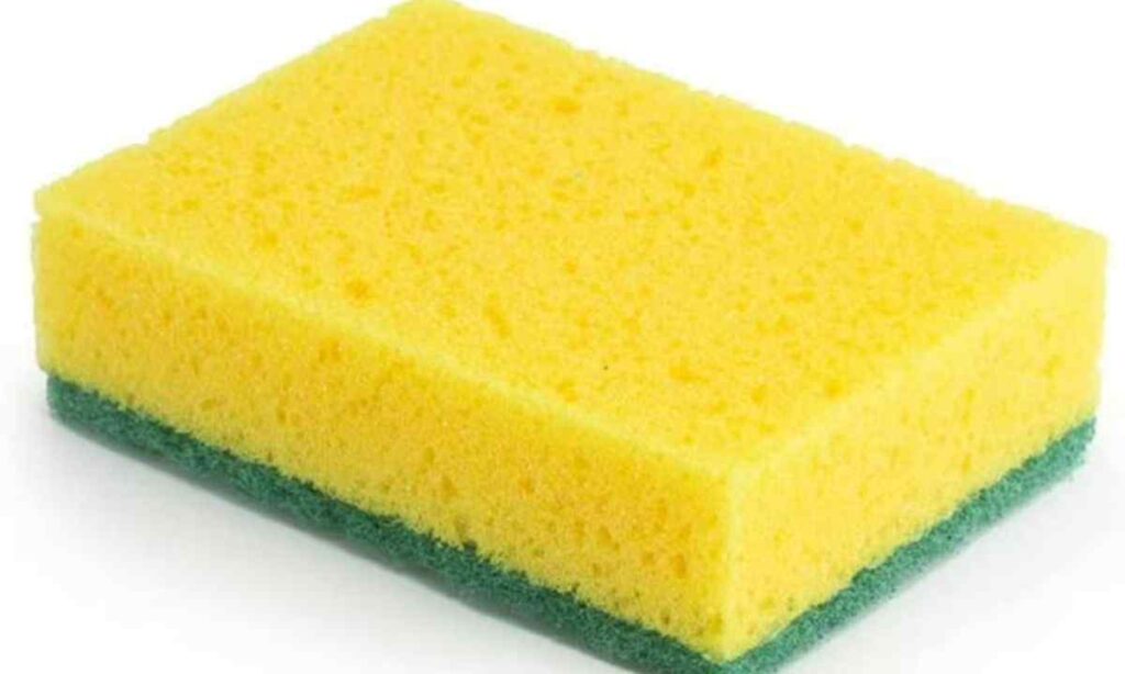 Kitchen Sponge