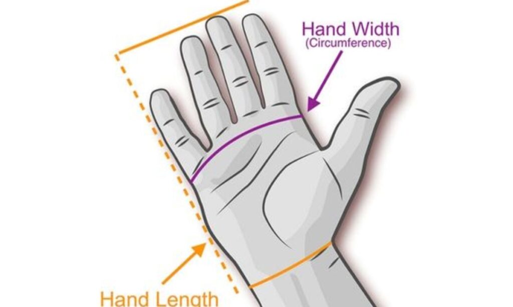 Palm Width (Across Hand)