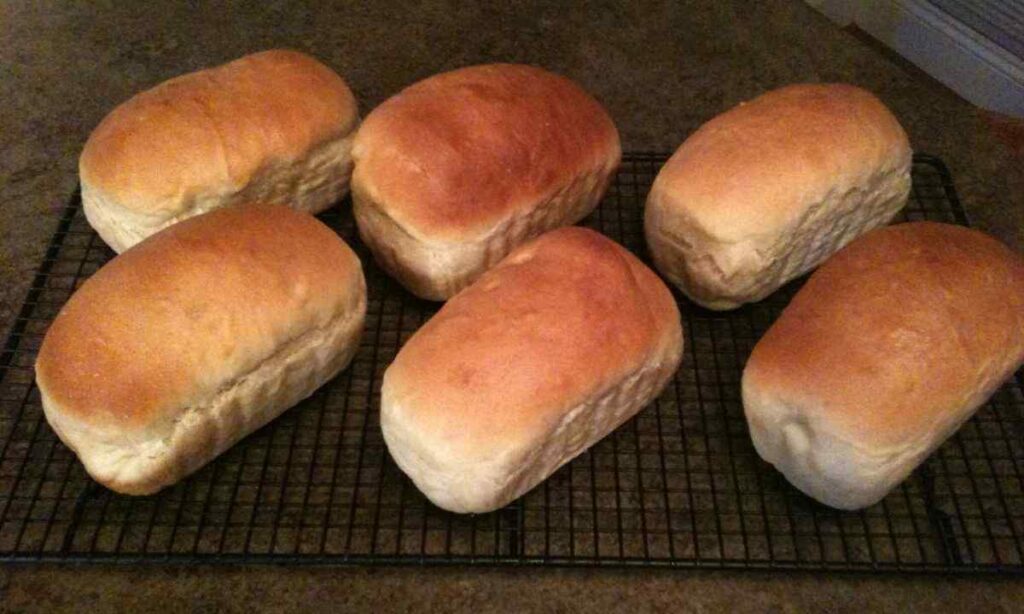 Small Loaf of Bread