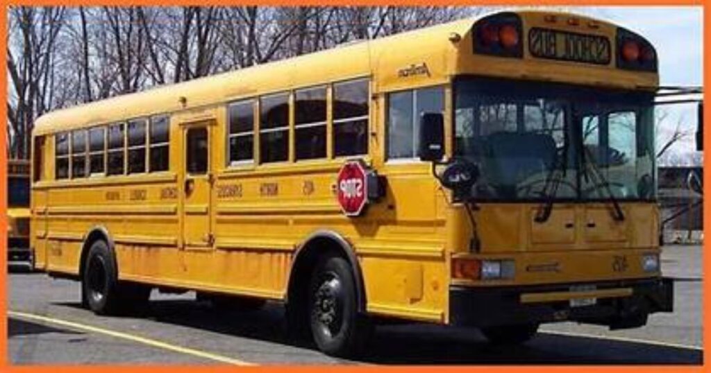 Standard School Bus (Plus Small Car)