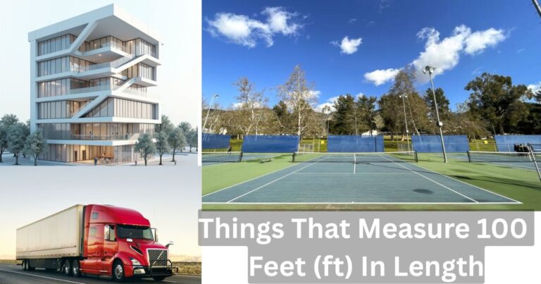 Things That Measure 100 Feet (ft) In Length Feature Image