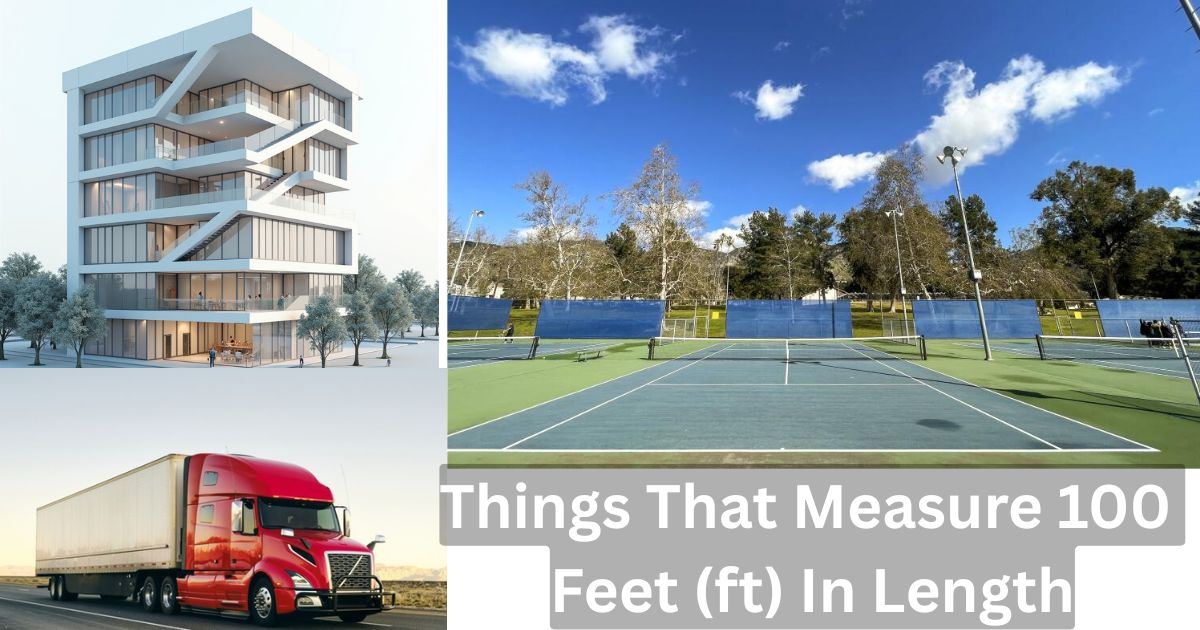 Things That Measure 100 Feet (ft) In Length Feature Image