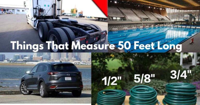 Things That Measure 50 Feet Long Feature Image