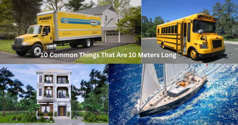 10 Common Things That Are 10 Meters Long Feature Image