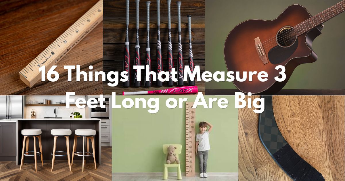 16 Things That Measure 3 Feet Long Feature Image