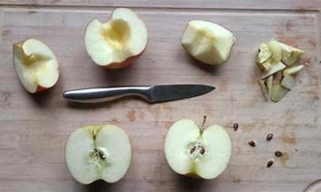 Apple Seed