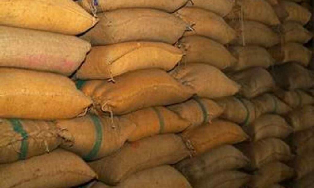 Bulk Grain or Rice Sack