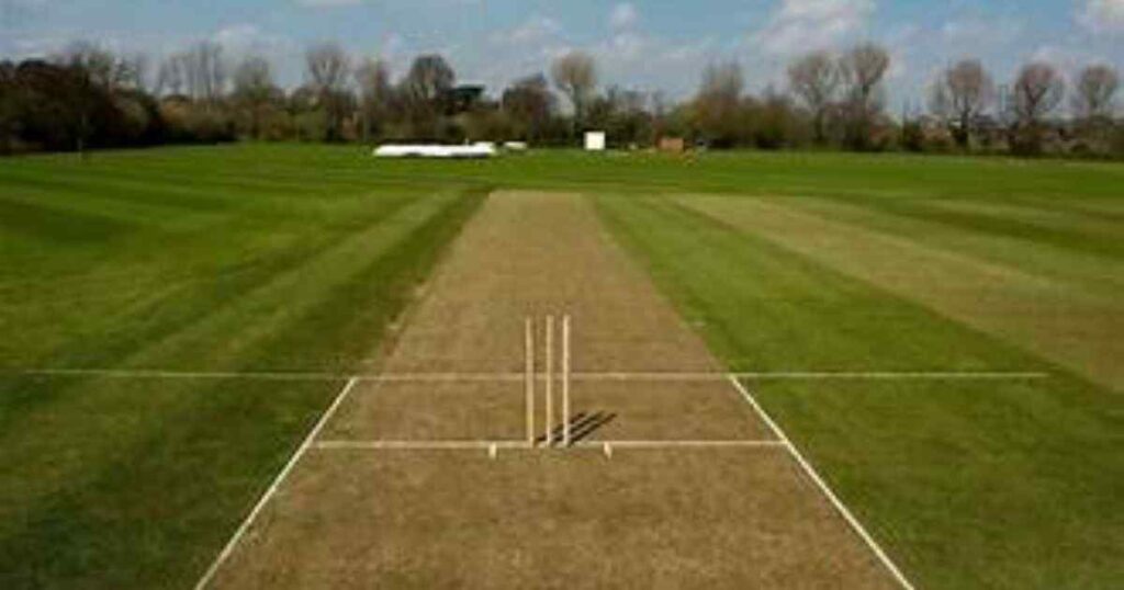 Cricket Pitch