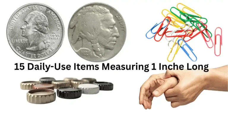 Daily-Use Items Measuring 1 Inche Long Feature Image