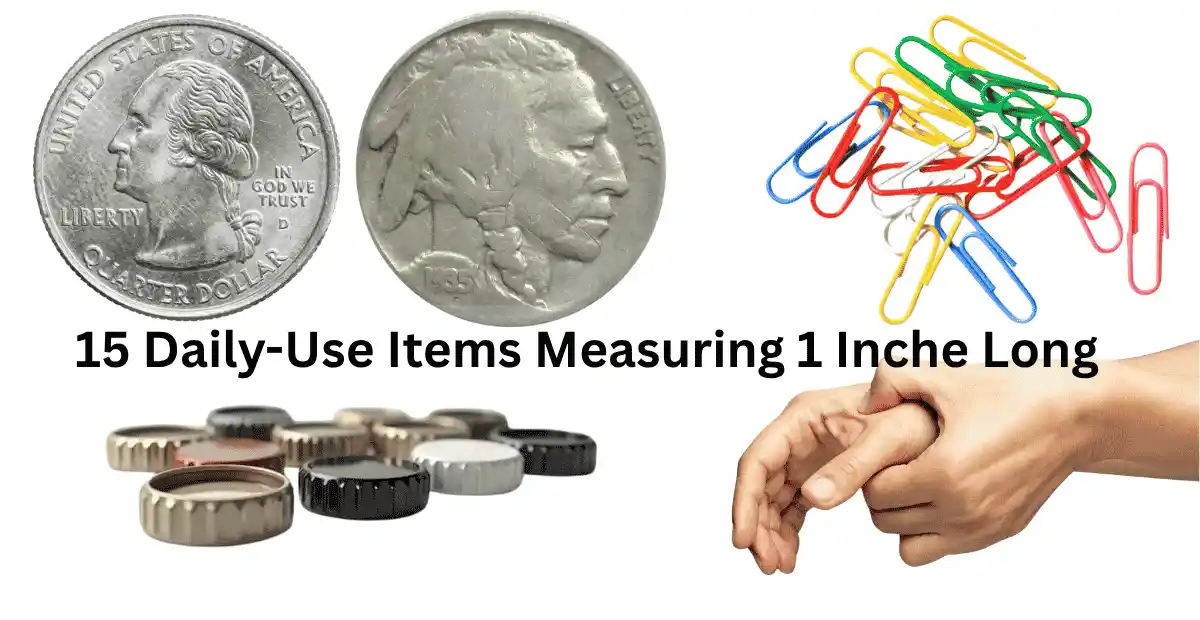Daily-Use Items Measuring 1 Inche Long Feature Image