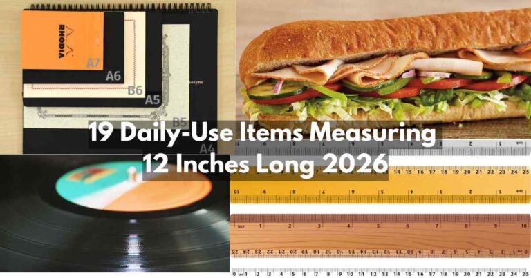 Daily-Use Items Measuring 12 Inches Feature Image