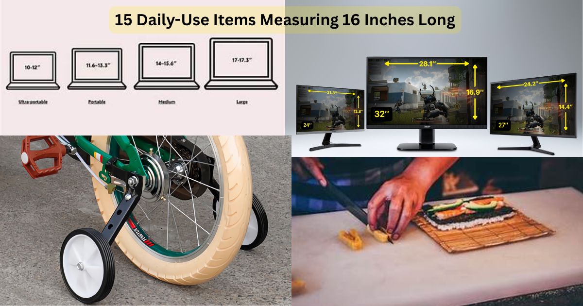 Daily-Use Items Measuring 16 Inches Long Feature Image