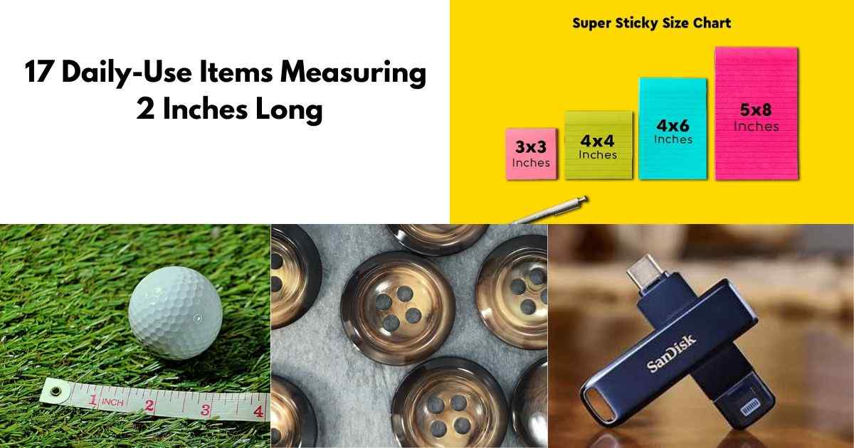 Daily-Use Items Measuring 2 Inches Long Feature Image