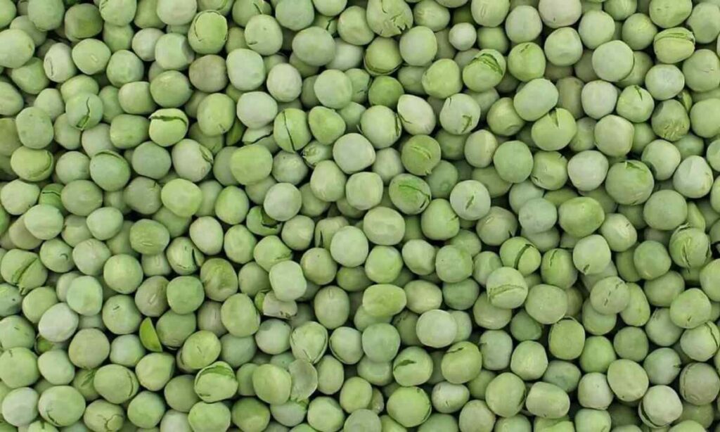 Dried Pea