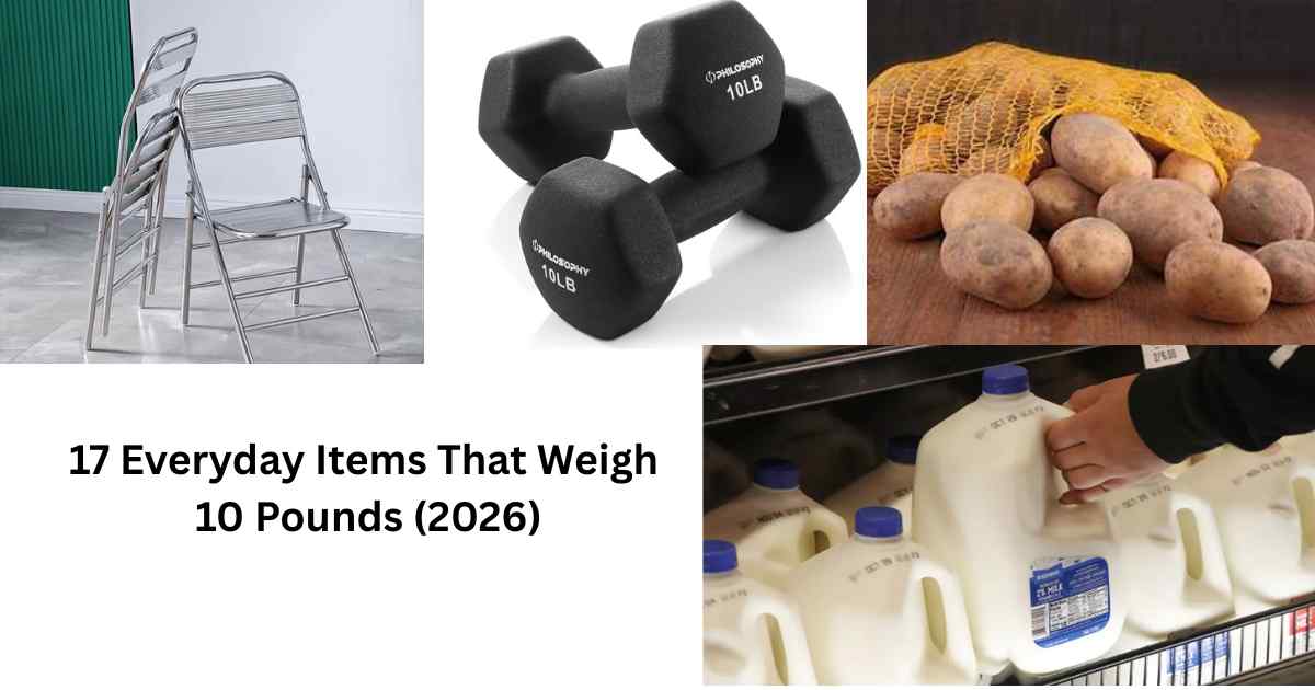 Everyday Items That Weigh 10 Pounds (2026) Feature Image