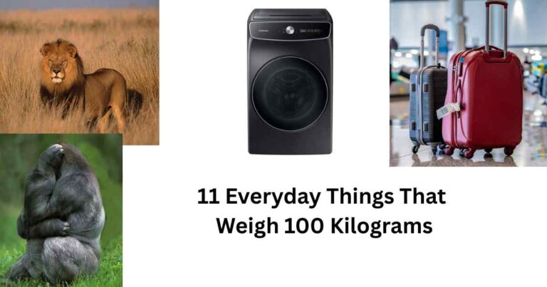 Everyday Things That Weigh 100 Kilograms Feature Image