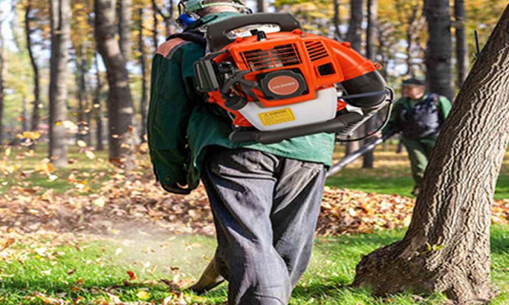 Gas-Powered Leaf Blower