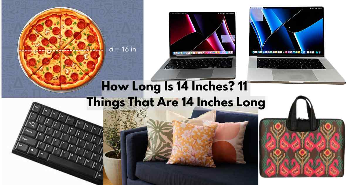 How Long Is 14 Inches Feature Image