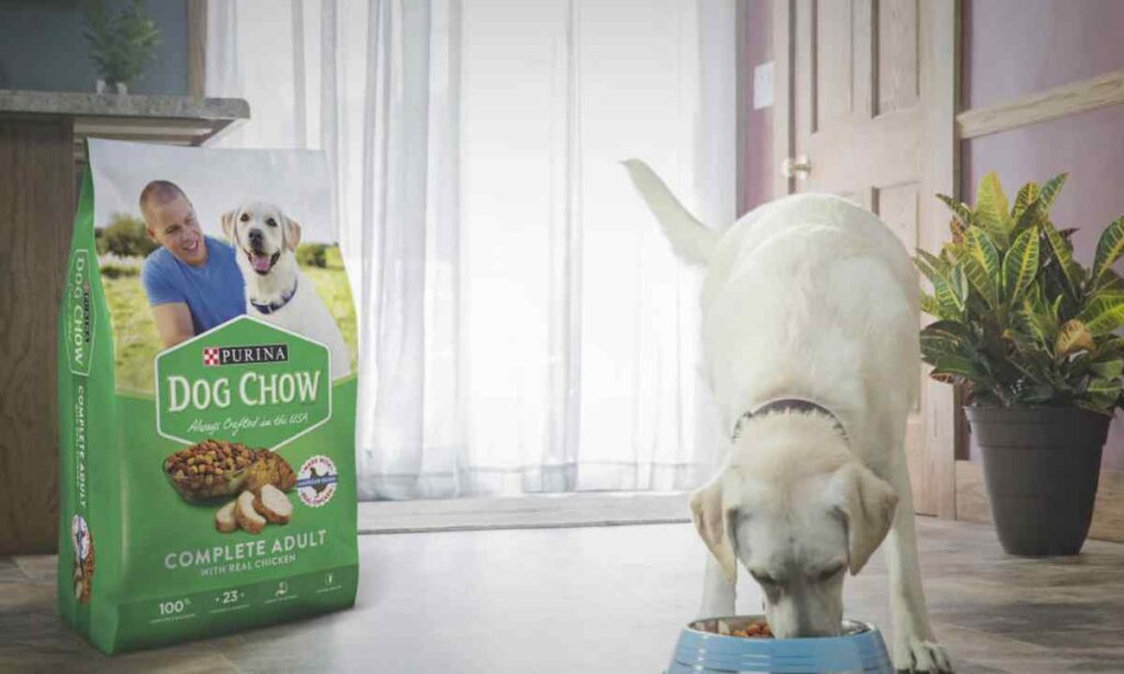 Large Bag of Dog Food
