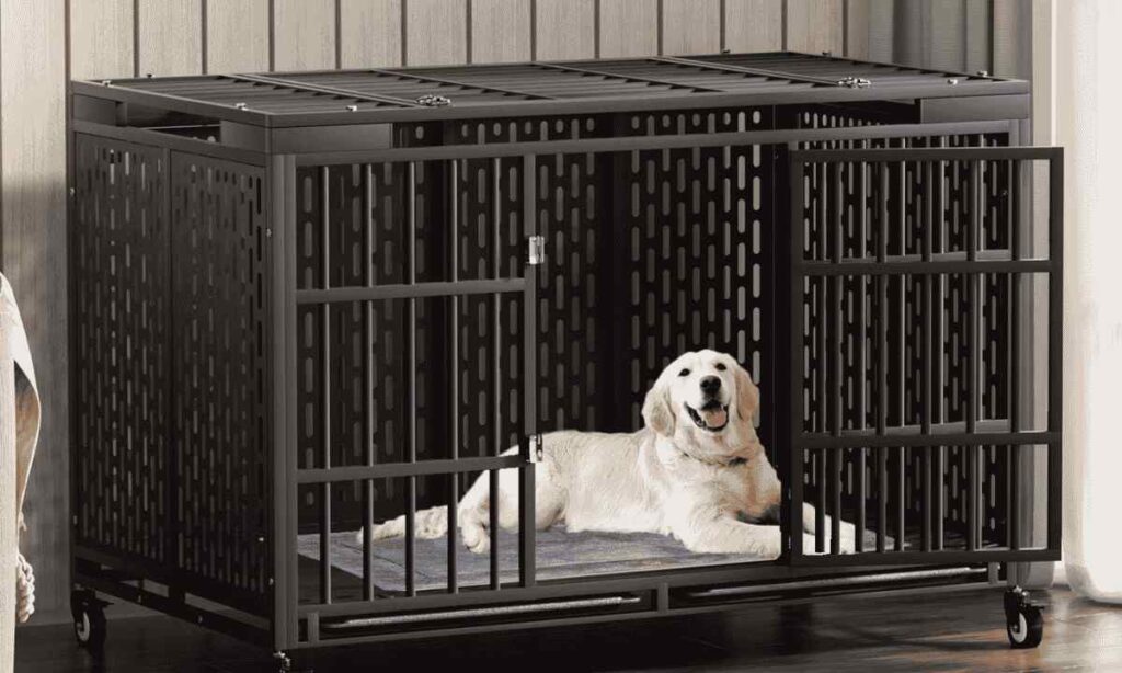 Large Dog Crate