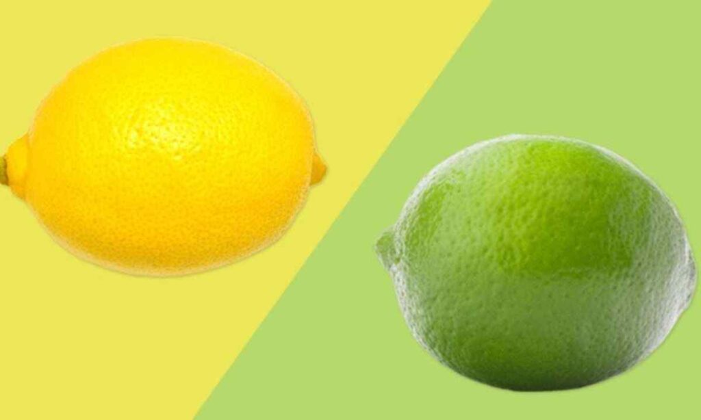 Lime or Small Lemon