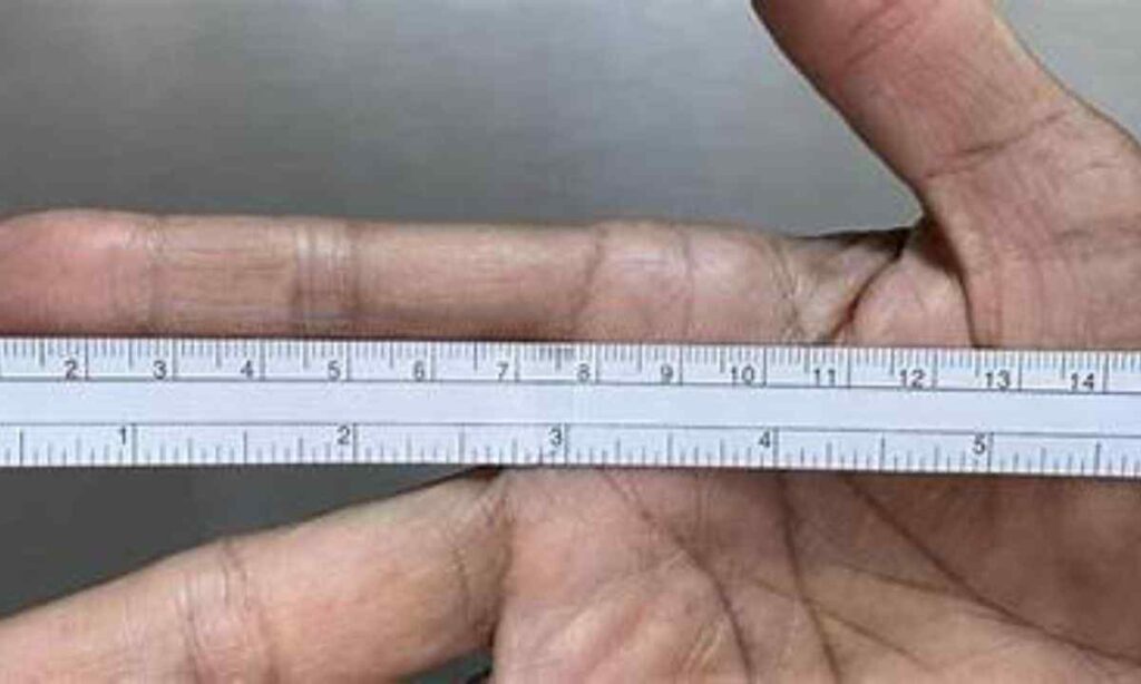Middle Finger Width