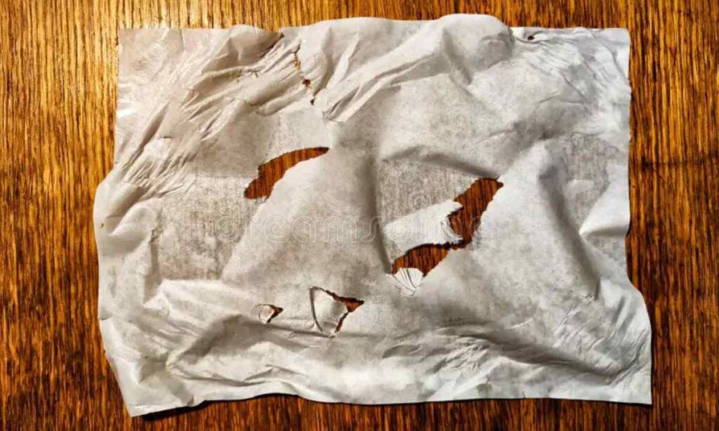 Single Piece of Paper Towel (Torn Section)