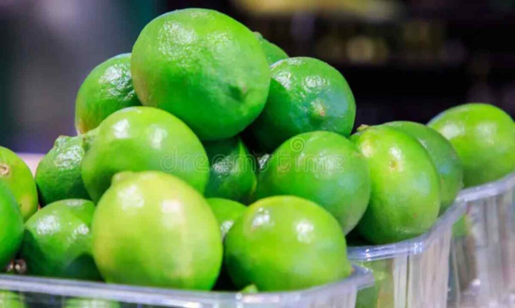 Small Lime or Lemon