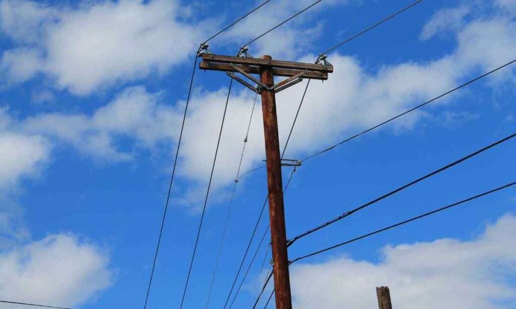 Telephone Pole