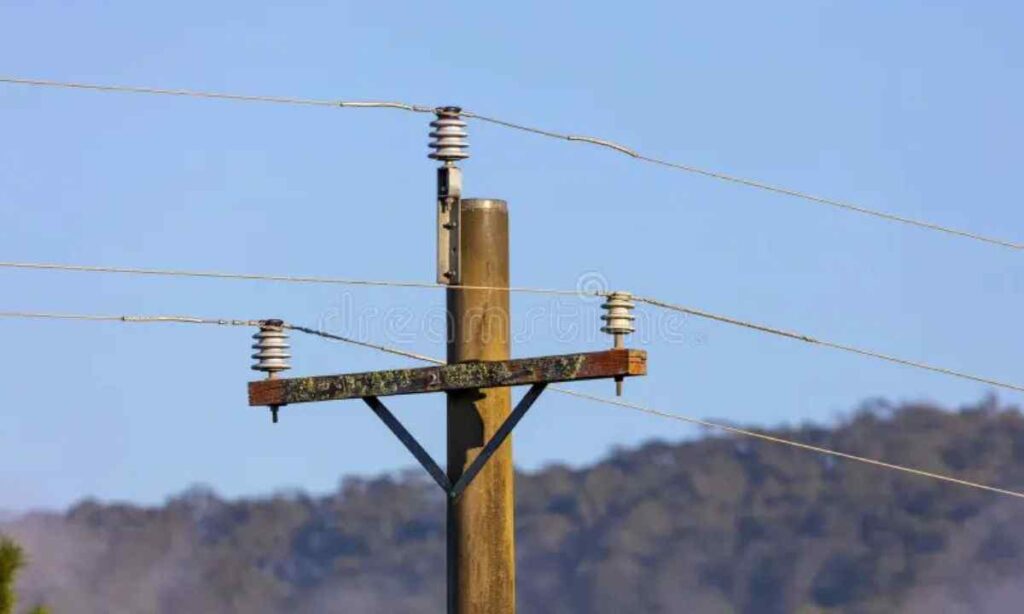 Telephone Pole Section
