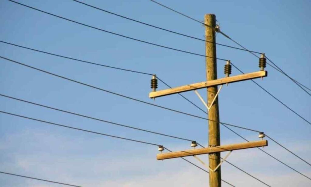Telephone Pole (Tall Variety)