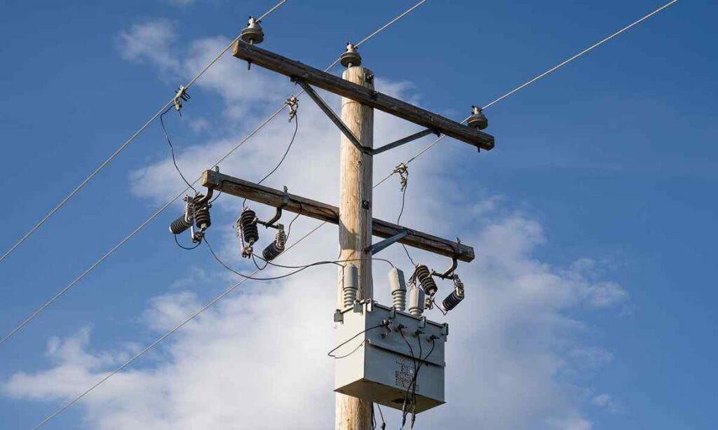 Telephone or Utility Pole