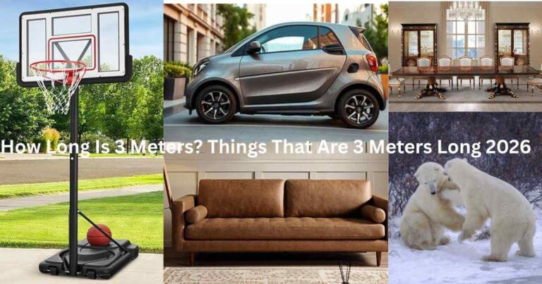 Things That Are 3 Meters Long 2026 Feature Image