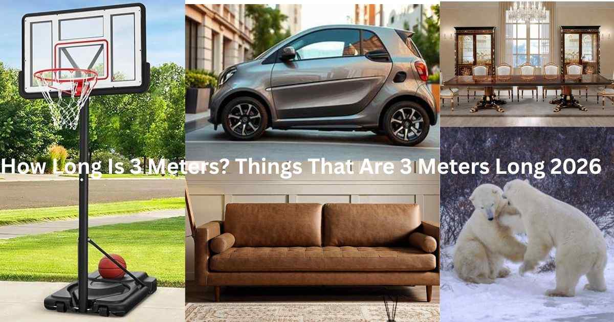 Things That Are 3 Meters Long 2026 Feature Image