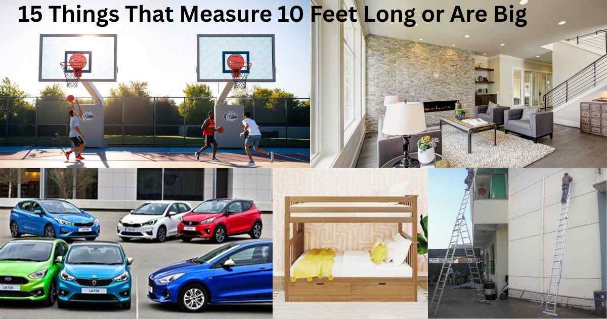 Things That Measure 10 Feet Long Feature Image