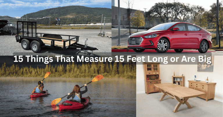 Things That Measure 15 Feet Long or Are Big Feature Image