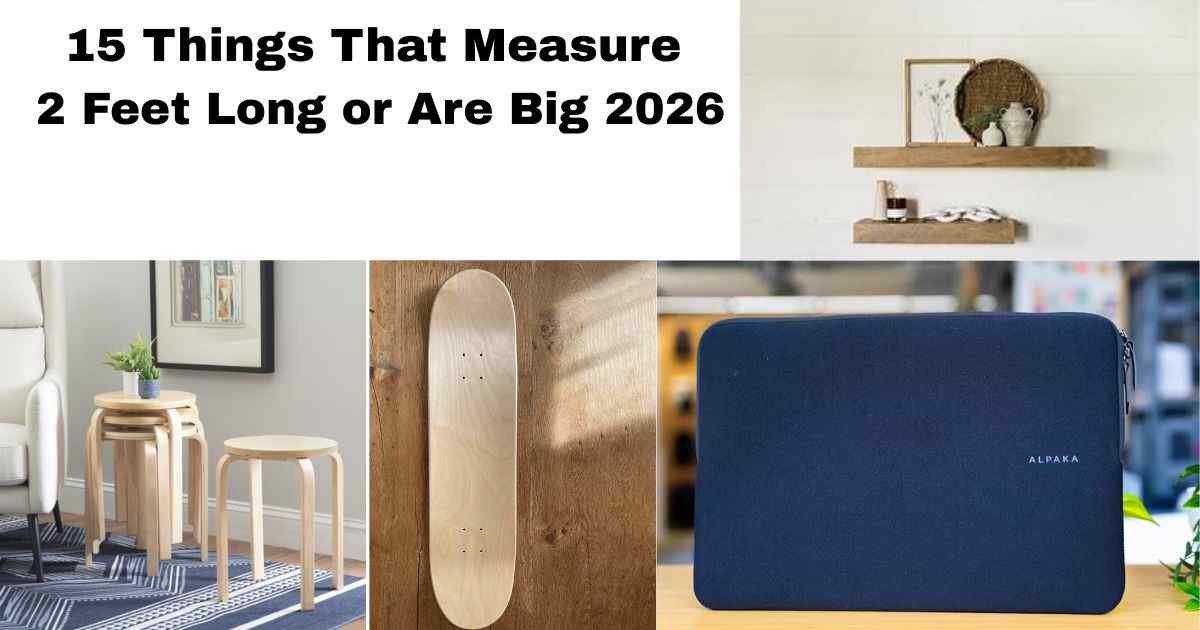 Things That Measure 2 Feet Long Feature Image