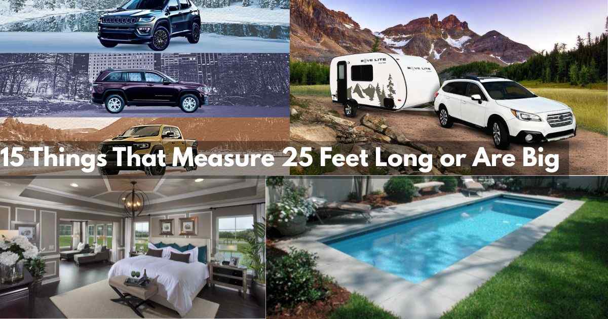 Things That Measure 25 Feet Long Feature Image