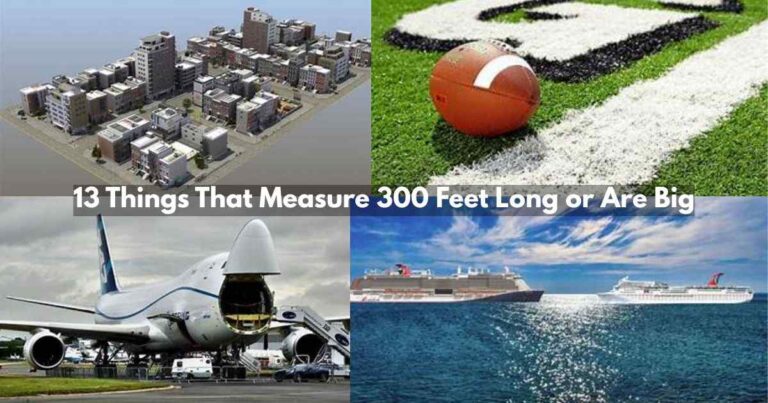 Things That Measure 300 Feet Long Feature Image