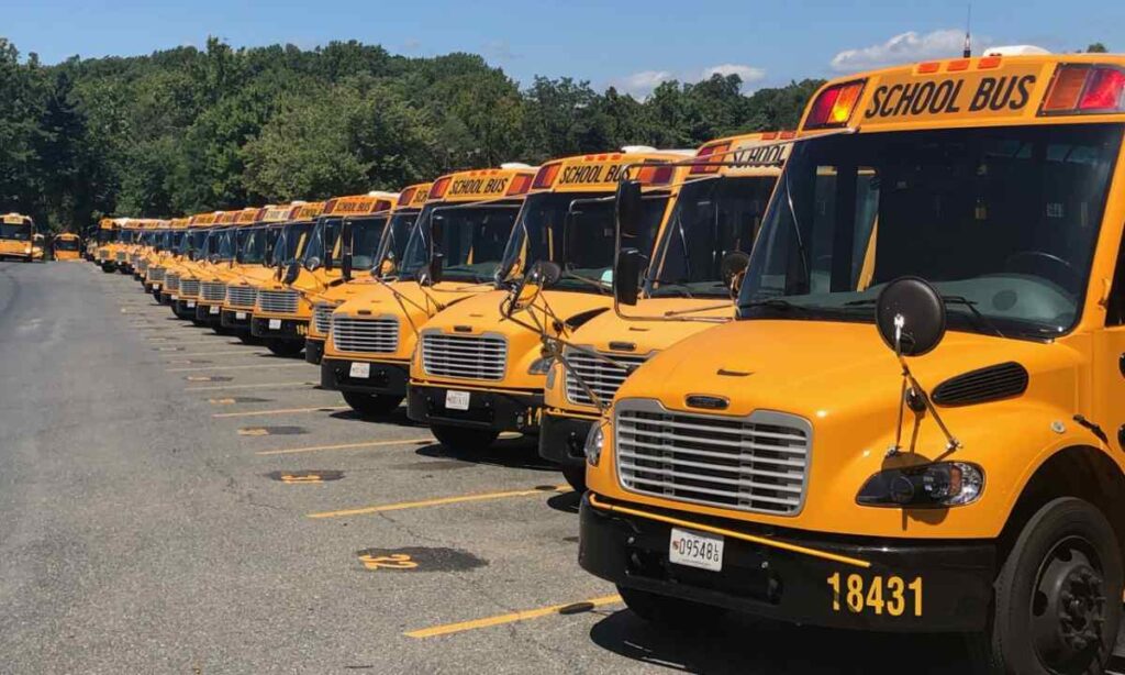 Three School Buses (End-to-End)