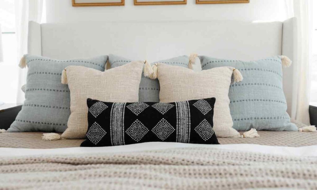 Throw Pillow (Large Size)