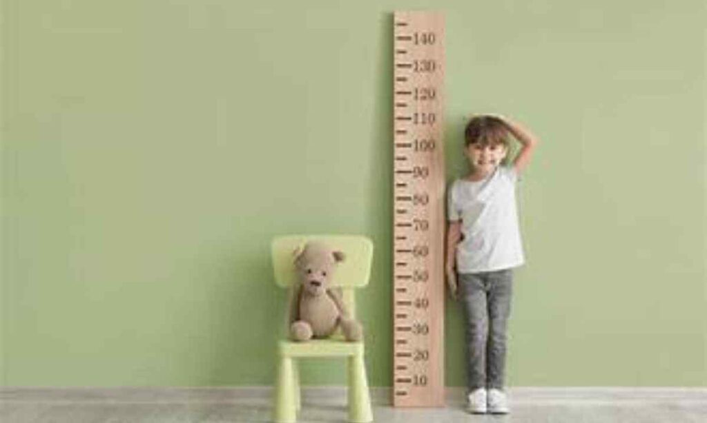 Toddler Height (Average)
