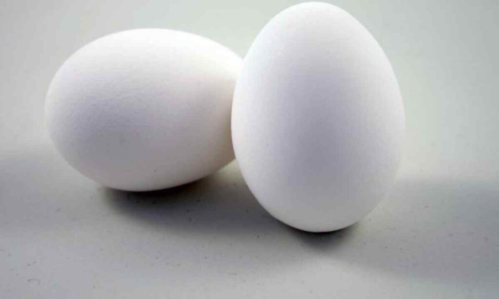 Two Large Eggs