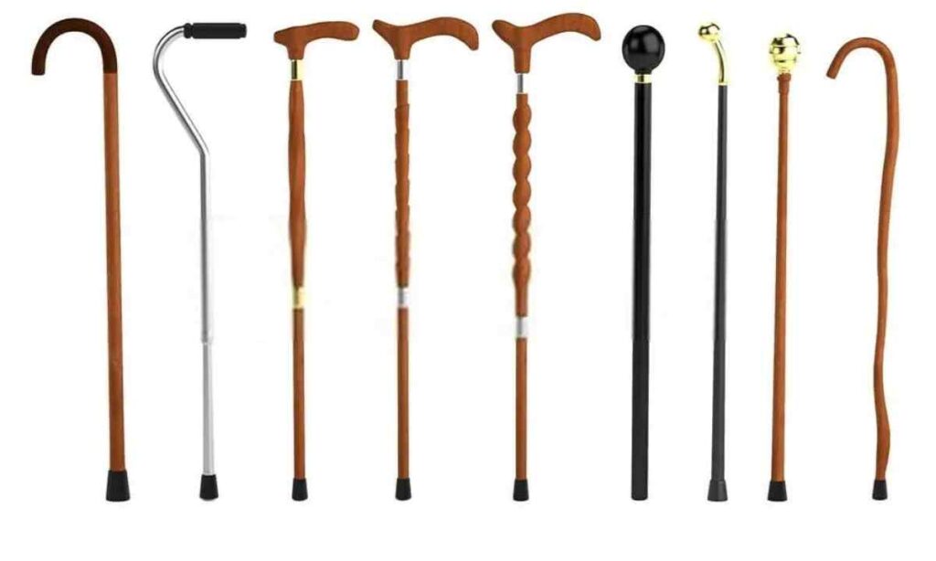 Walking Stick or Cane