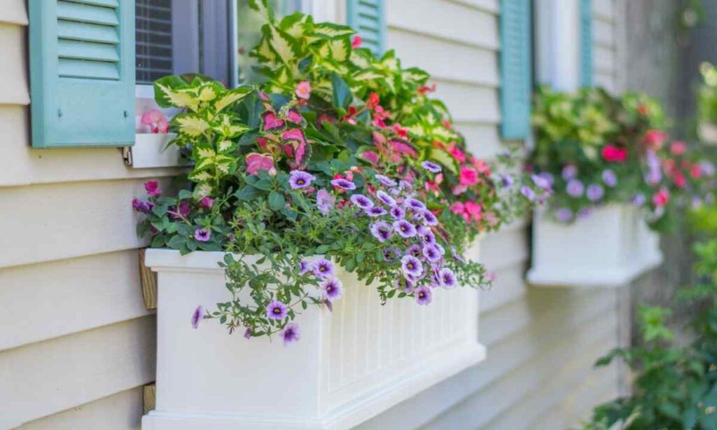 Window Planter Box