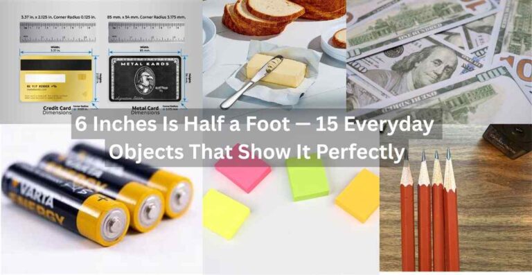 6 Inches Is Half a Foot Feature Image
