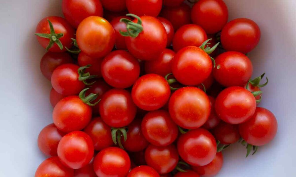 A Cherry Tomato