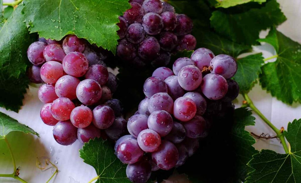 A Grape